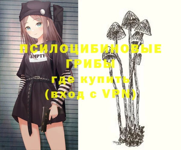 дурь Аша
