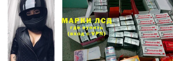 мяу мяу мука Майский