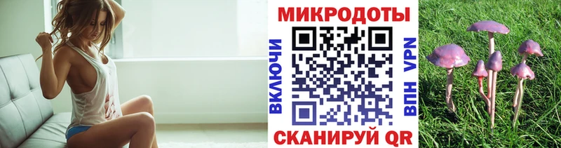 Галлюциногенные грибы прущие грибы  наркошоп  OMG ТОР  Нерчинск 