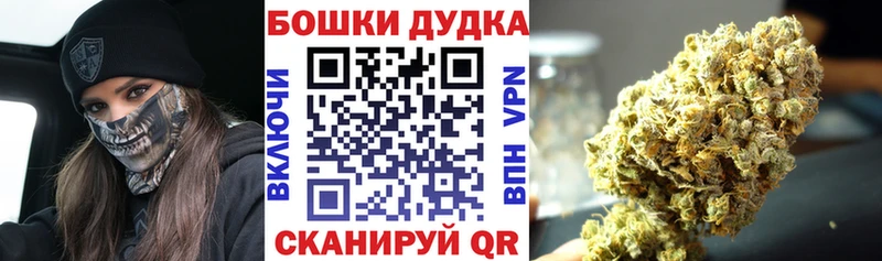 Бошки Шишки индика  что такое наркотик  Нерчинск 
